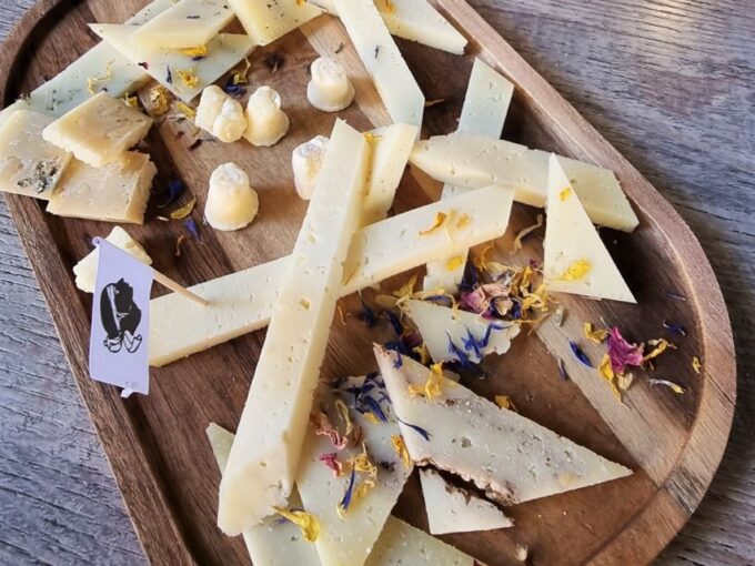 Ajaccio : No Diet Club - Unique Local Food Tour - Why Book This Tour
