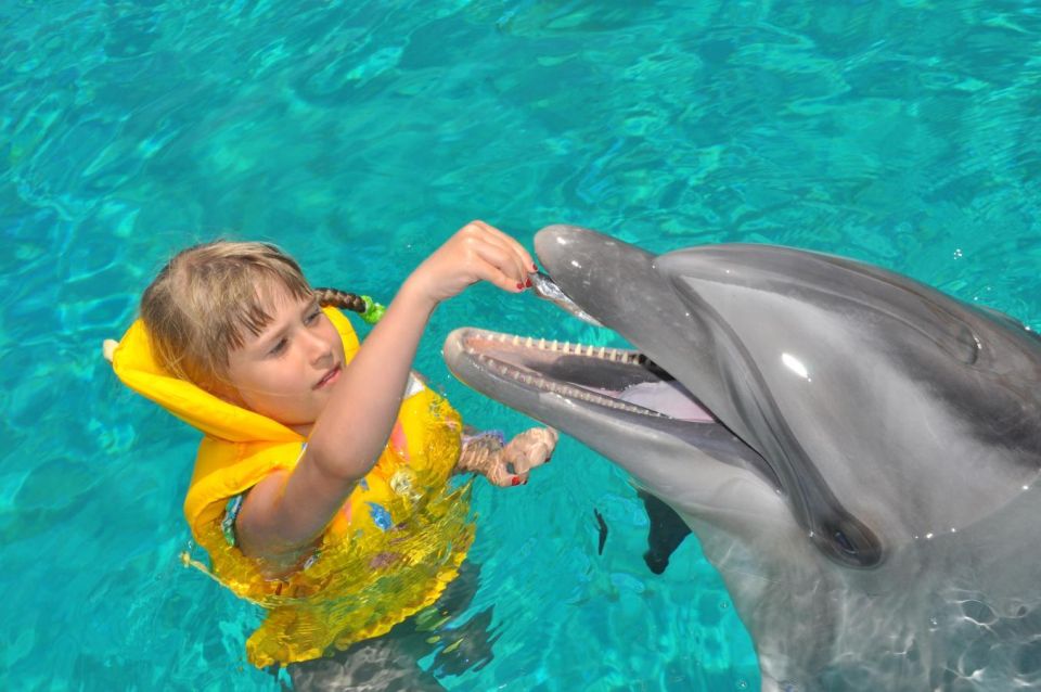 Alanya: Dolphin and Seal Show Ticket With Hotel Transfers - Frequently Asked Questions