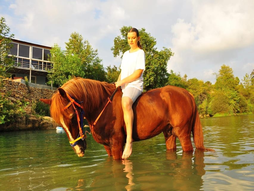 Alanya Horse Riding Experience - Important Restrictions and Tips