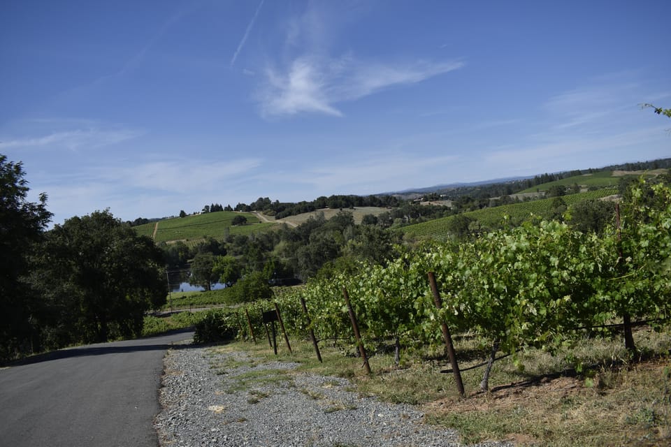 Amador County Wine Tasting Tour Private Tour 1 To 14 Group - Tips for Your Tour