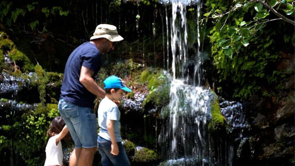 Andros Town, Pythara Falls, Menites Springs: Half-Day Tour - Frequently Asked Questions