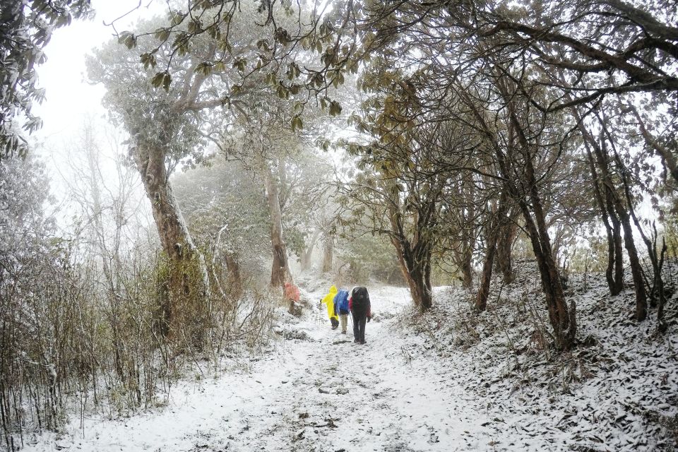 Annapurna Base Camp Trek - Travel Safety and Health