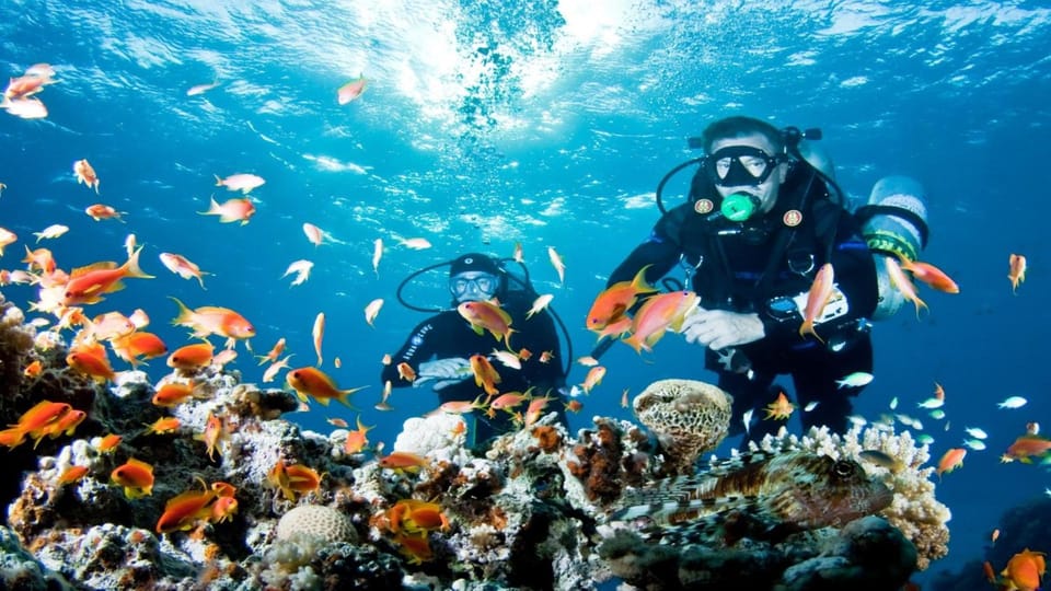 Antalya/ Belek: Scuba Diving Tour With 2 Time Dive & Lunch - Frequently Asked Questions