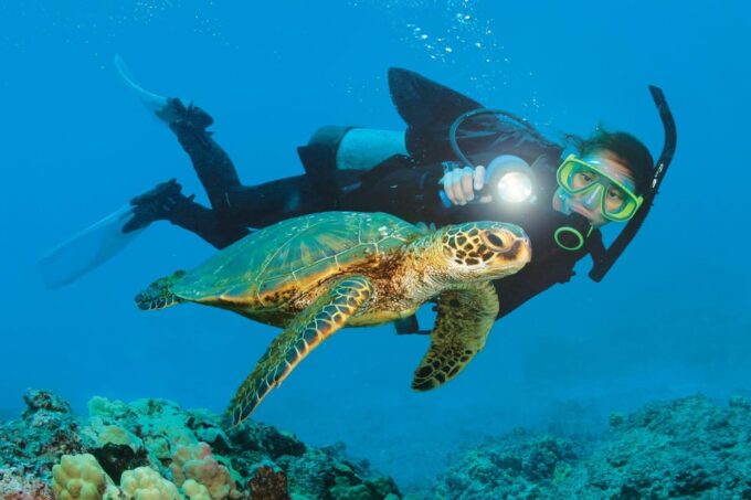 Antalya/ Kemer/ Belek: Scuba Diving With Lunch & Transfer - Additional Activities Available