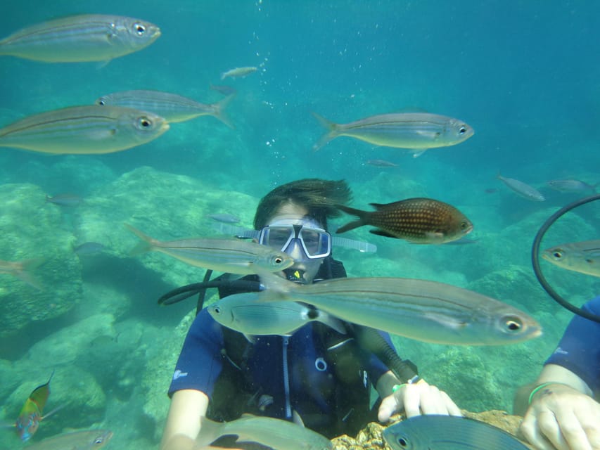 Antalya Scuba Diving Tour, With Lunch & Return Transfers - Booking Details