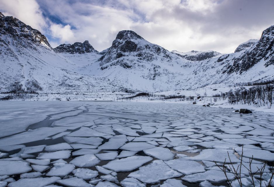 Arctic Nature Tour From Tromsø - What to Expect on the Tour