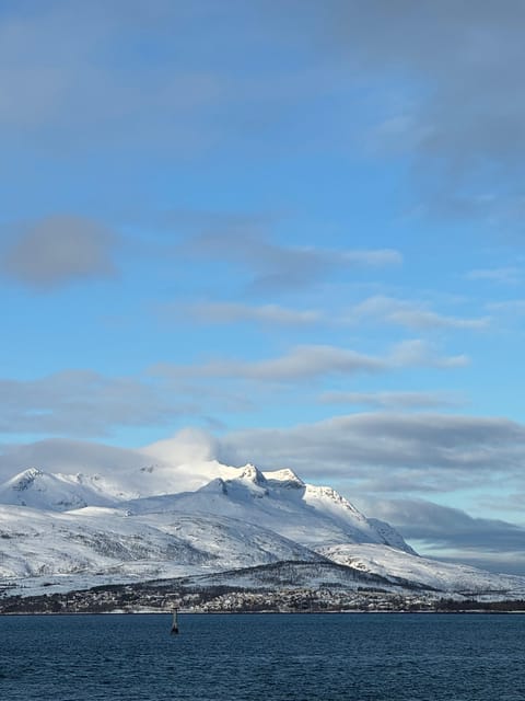 Arctic Nature Tour in Kvaløya With Hot Food and Drinks - Frequently Asked Questions