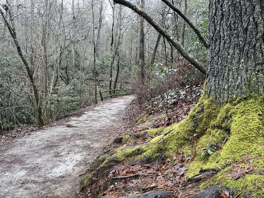 Asheville Waterfall Yoga Hike: Find Your Zen in Nature! - Frequently Asked Questions