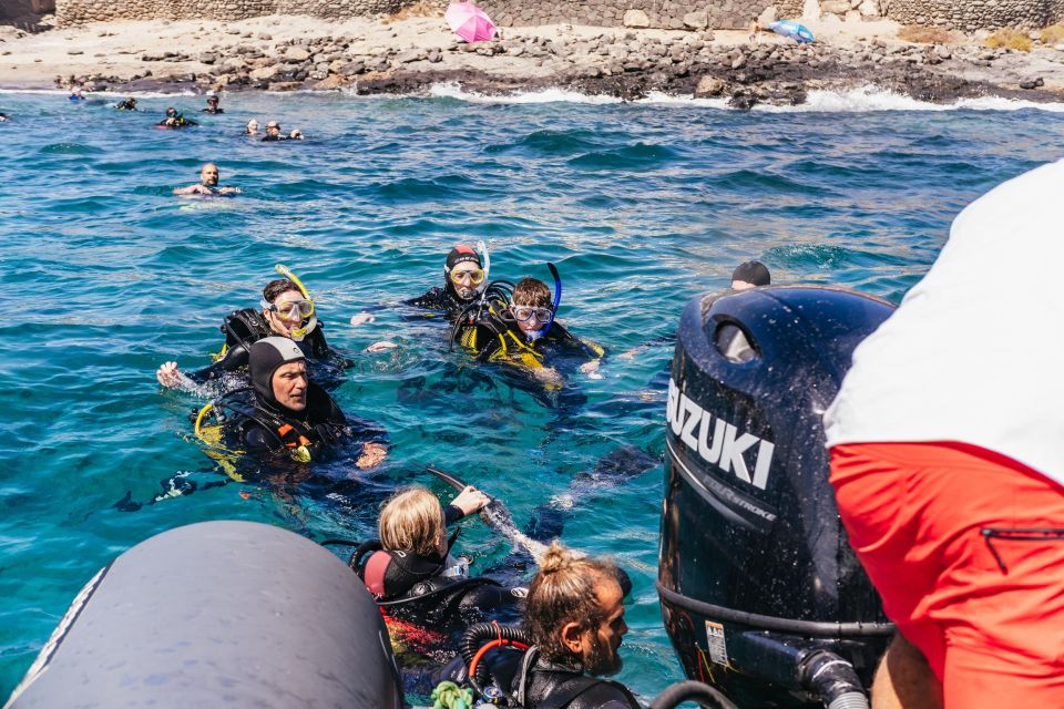 Atlántico Museum: Scuba Dive Lesson for Non-Certified Divers - Post-Dive Requirements