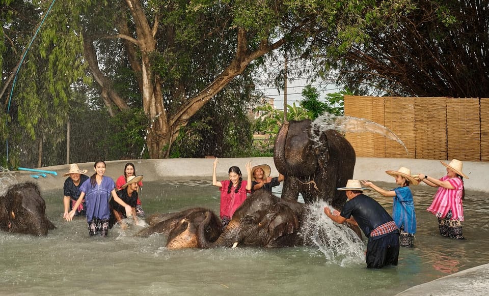 Bangkok Elephant Park: HD Elephant Experience (No Transfers) - Enjoying Thai Cuisine