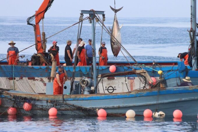 Barbate: Boat Tour to the Almadraba of Conil (Tuna Fishing) - Frequently Asked Questions