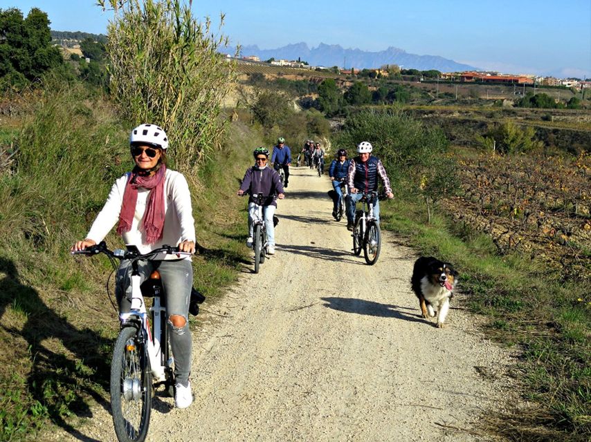 Barcelona: Bike & Wine Guided Tour - Penedès Vineyards - Cycling Through Scenic Landscapes