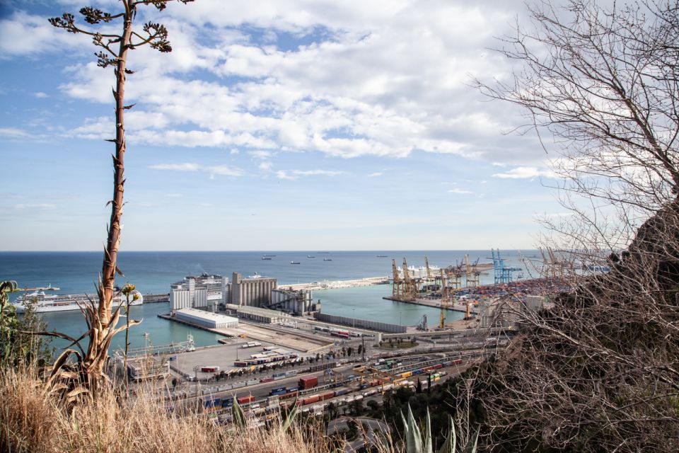 Barcelona: Montjuïc Walking Tour With Optional Flamenco Show - Upgrading With Flamenco Show