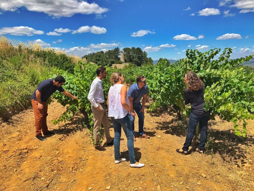 Barcelona: Wine & Sparkling Wine Premium Tour - Meeting Point