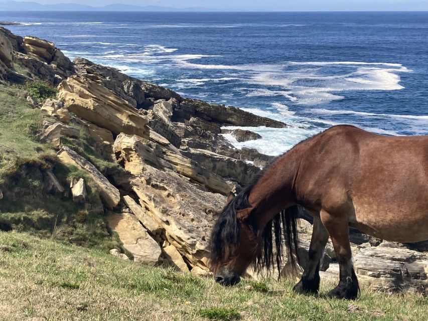 Basque Country: Game of Thrones Private Sightseeing Tour - Exploration Stops