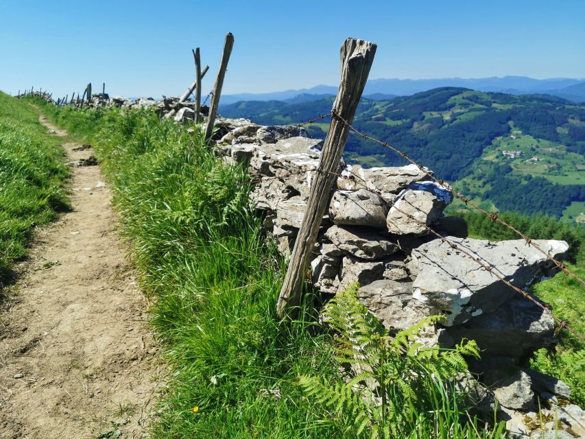 Basque Country: Mountains, Ocean, & Sanctuary of Loyola Trip - Coastal Getaria and Lunch