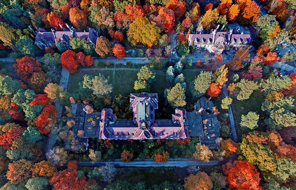 Baum&Zeit Beelitz-Heilstätten: Tree Top Walk Entry Ticket - Discover Preserved Landscapes