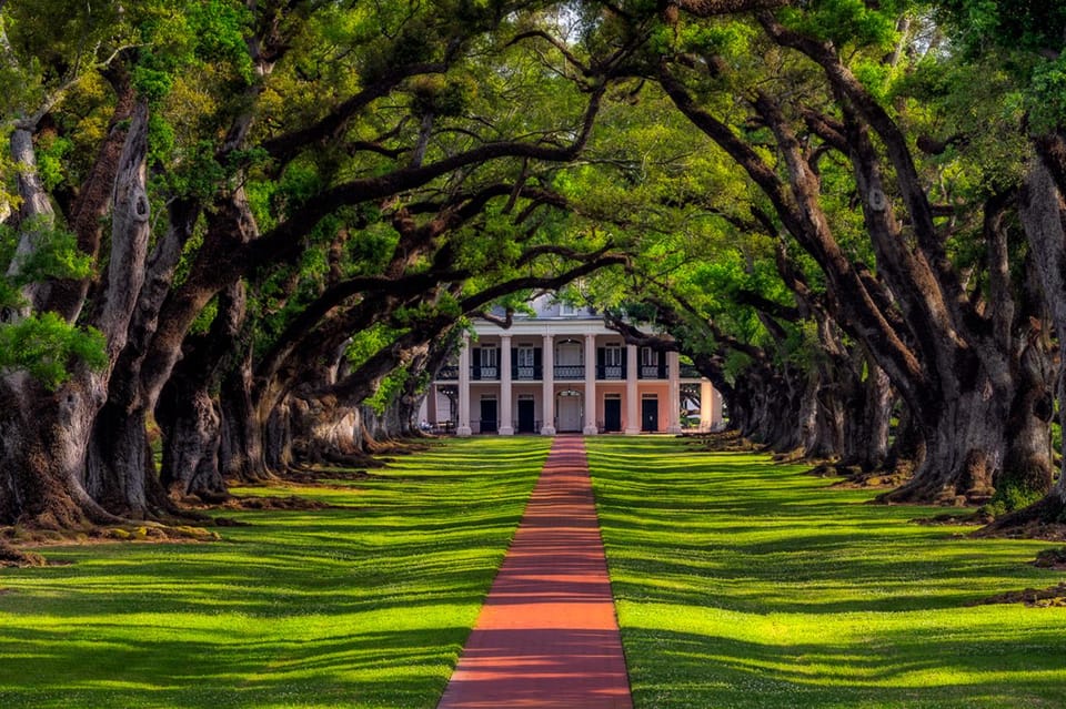 Bayous And Byways, Oak Alley Plantation And Kayak Swamp Tour - Weather Considerations