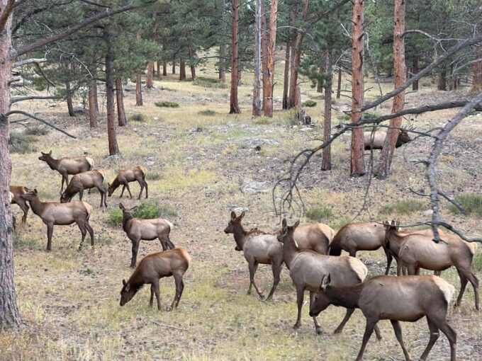 Bear Lake Corridor - Tips for a Safe Experience