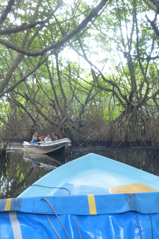 Bentota River Safari, Crocodiles, Monkeys, Mangrove & More - Highlights and Inclusions