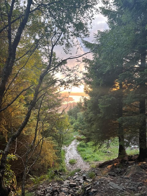 BERGEN I Fløyen Activo - Magical Nature - Hiking Tour - Tips for an Enjoyable Experience