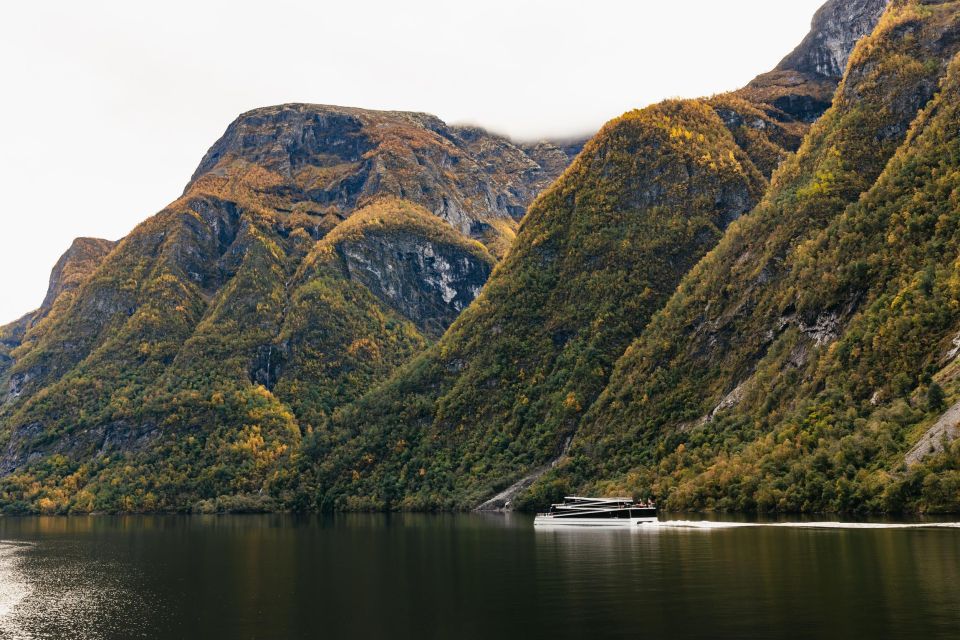 Bergen: Self-Guided Round-Trip Full-Day Excursion - Tips for a Great Experience