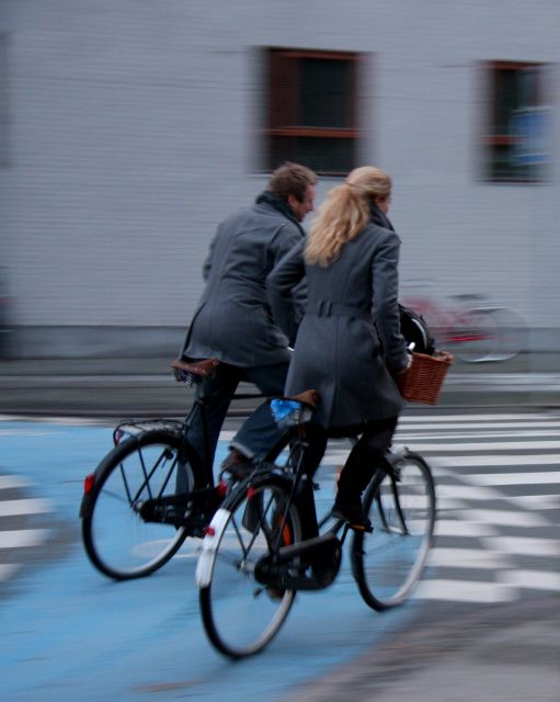 Best of Copenhagen Biking Tour-3 Hours, Small Group Max 10 - Booking Information