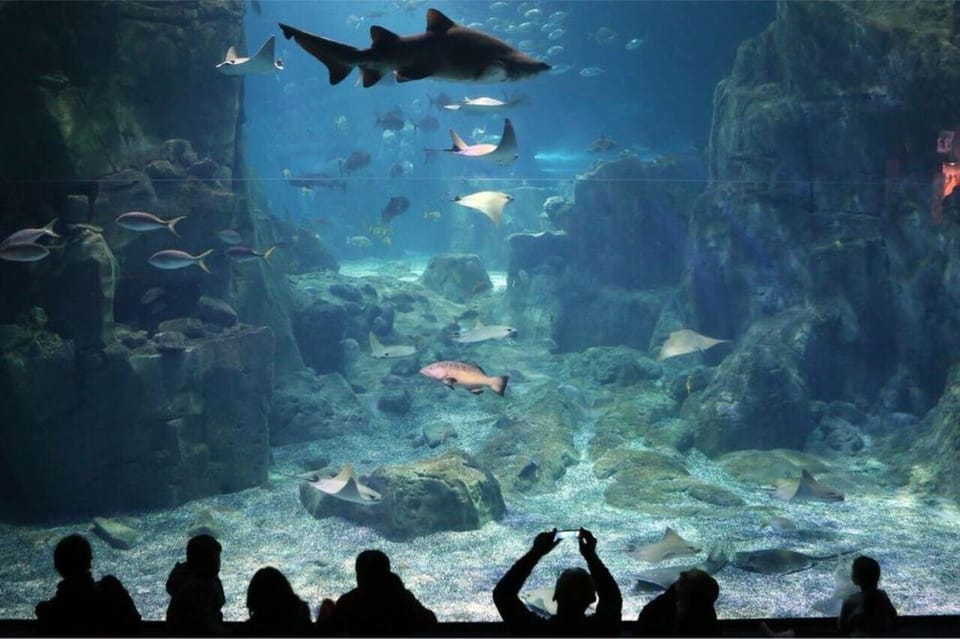 Best of Istanbul Aquarium Tour With Ticket & Hotel Transfer - Frequently Asked Questions