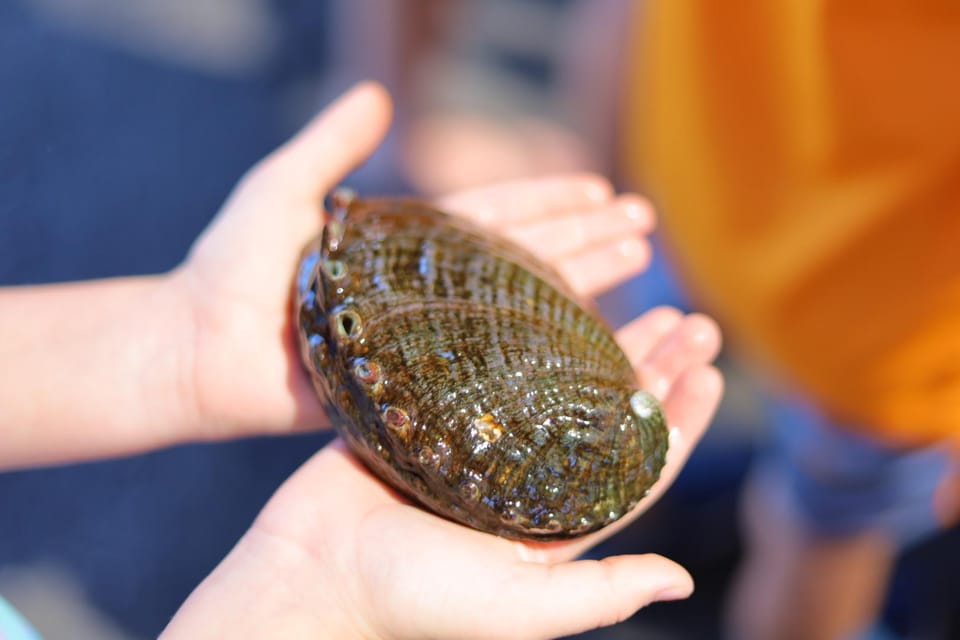 Big Island: Abalone Farm Guided Tour With Tasting - Frequently Asked Questions