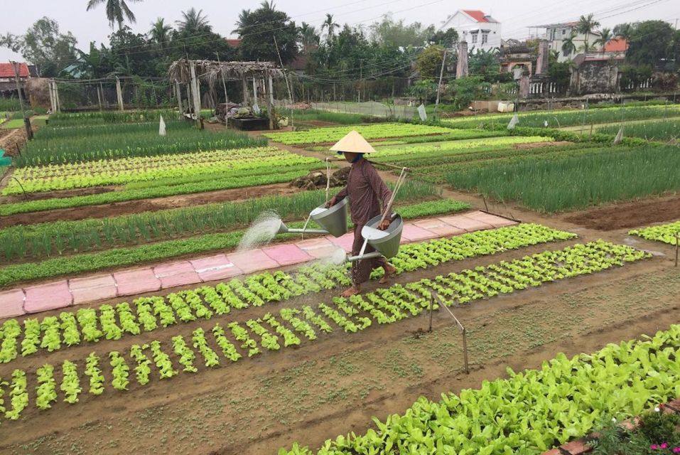 Biking Countryside - Market Tour - Farming & Cooking Class - Tips for Participants