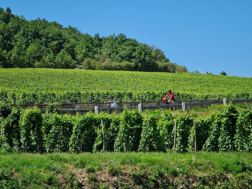 Burgundy: Fantastic 2-Day Cycling Tour With Wine Tasting - Frequently Asked Questions