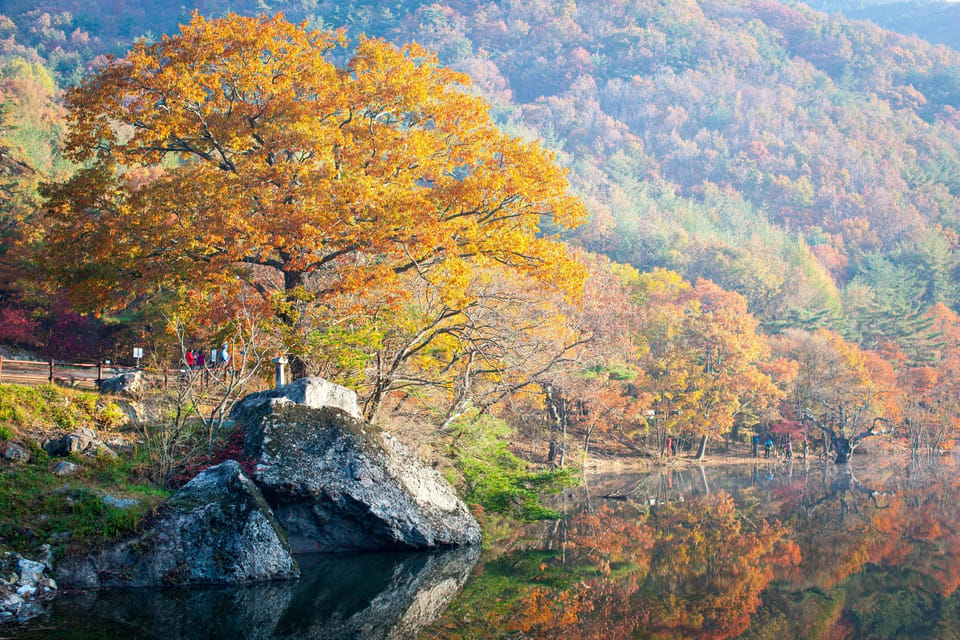 Busan: Mt. Jiri or Juwangsan National Park Fall Colors Tour - Autumn Foliage at Juwangsan National Park