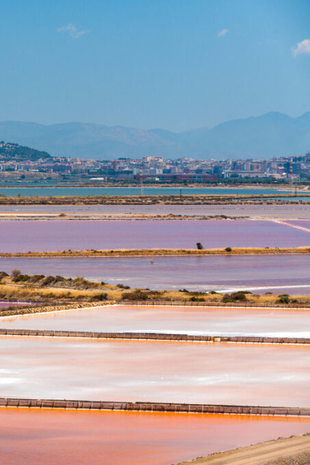 Cagliari: Conti Vecchi Salt Flats Train and Tour - Booking and Reservations