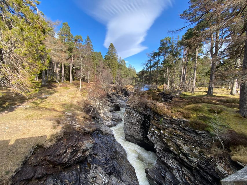 Cairngorms National Park: Mar Lodge Estate Guided Tour - Frequently Asked Questions