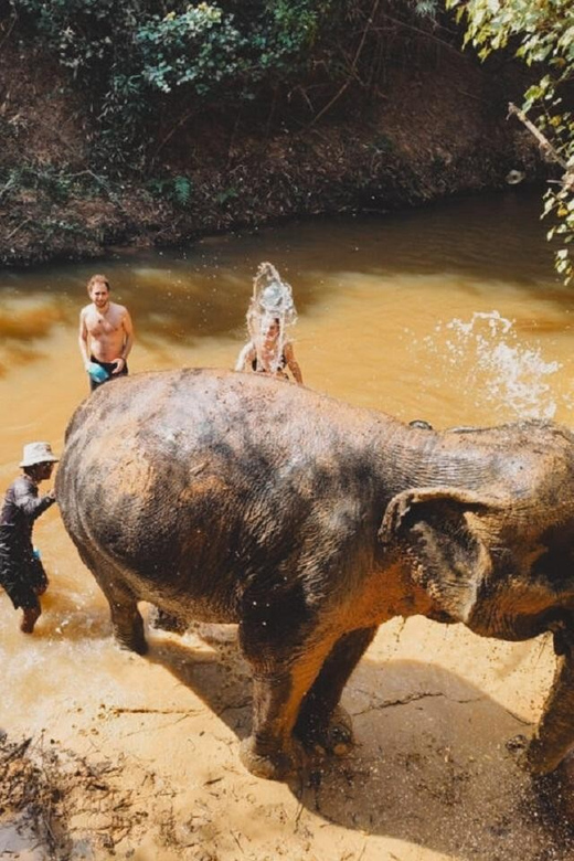 Cambodia Elephant Sanctuary and Banteay Srey Temple Tour - Important Travel Information