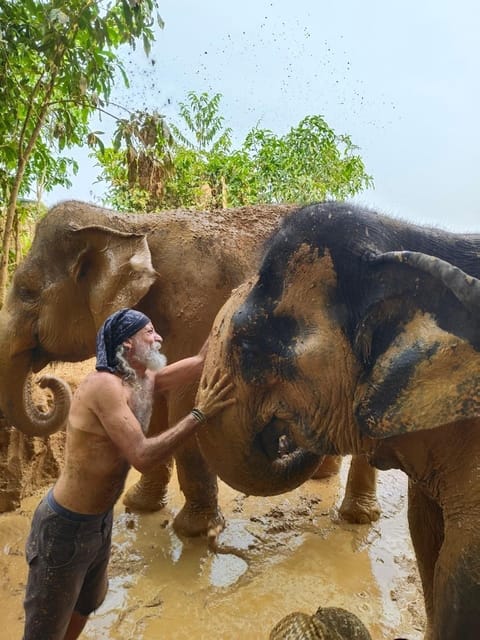 Cambodia Elephant Sanctuary, Pickup and Drop off Included - Frequently Asked Questions