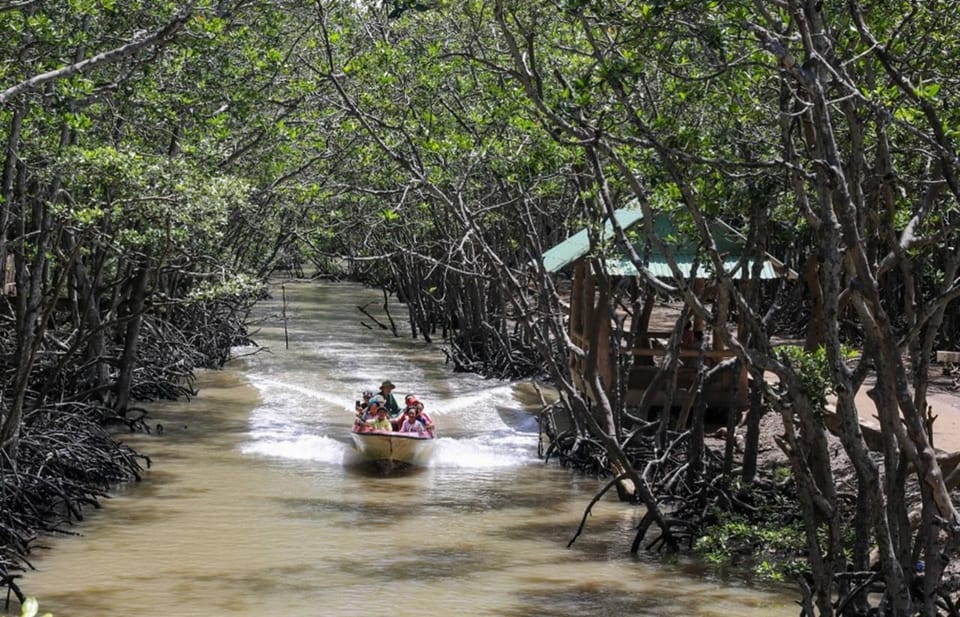 Can Gio Mangrove Forest - How to Get There