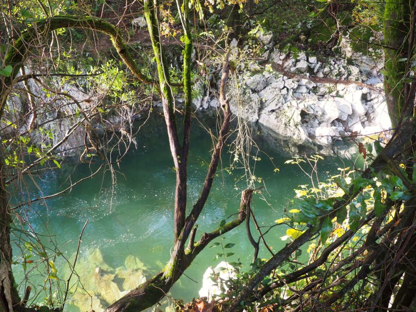 Cantabria: The Castillo Caves & Paleolithic Art - Frequently Asked Questions