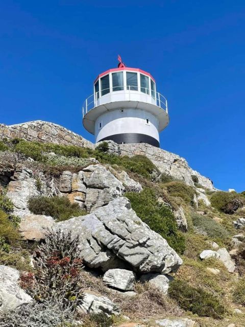 Cape of Good Hope & Penguins Private Tour - Penguin Encounters