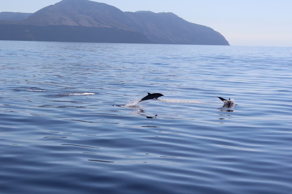 Capo Dorlando: Salina, Panarea, Stromboli Tour With Boat - Booking Information