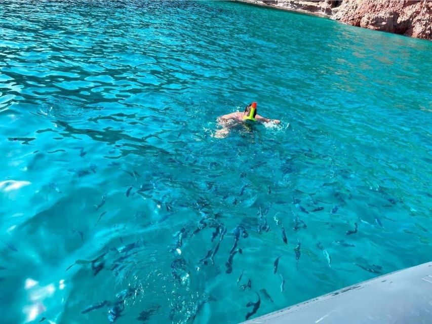 Cargèse: Capo Rosso Snorkeling and Sea Cave Tour - Frequently Asked Questions