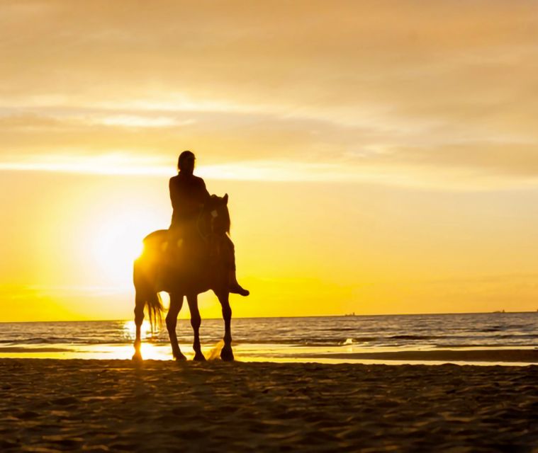 Cartagena: Horseback Riding on the Beach at Sunset - Frequently Asked Questions