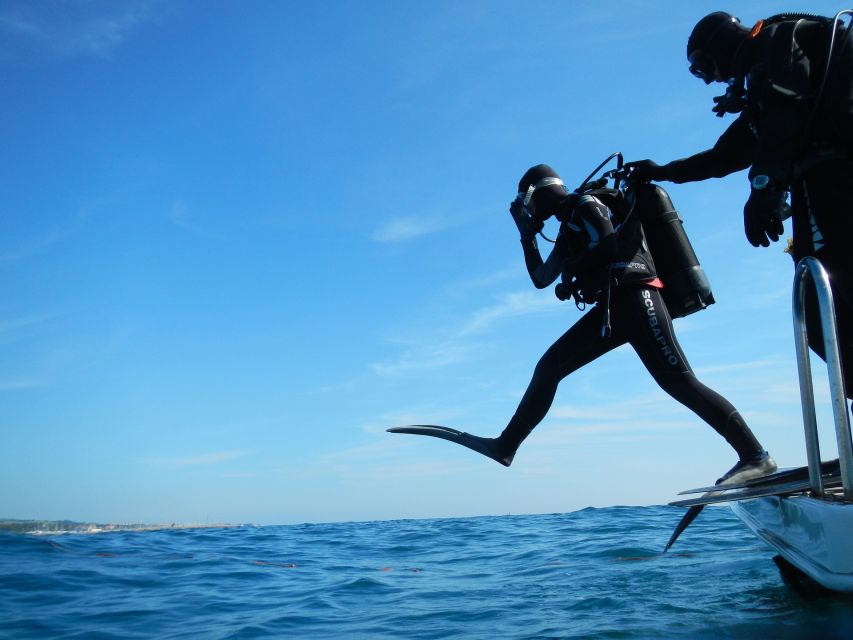 Cartagena: Scuba Diving Day Trip at Playa Blanca With Lunch - Customer Reviews and Recommendations