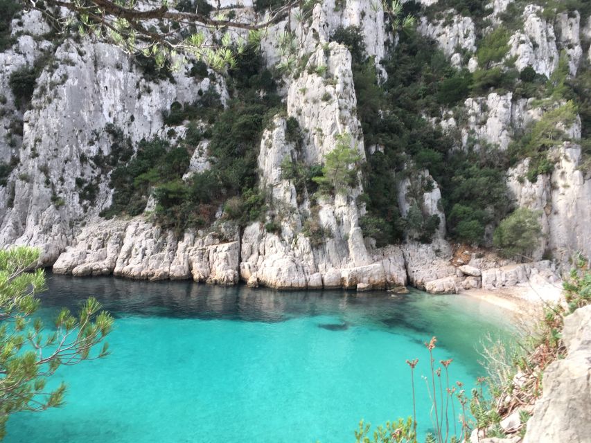 Cassis: Calanques and Viewpoints Tour by Mountain E-Bike - Frequently Asked Questions