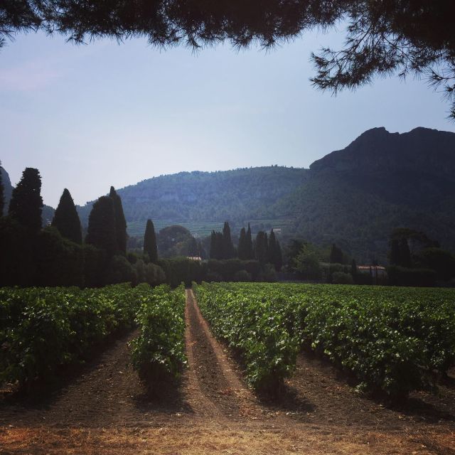 Cassis Wine Tour: Sea, Cliffs and Vineyards - Local Attractions and Sights