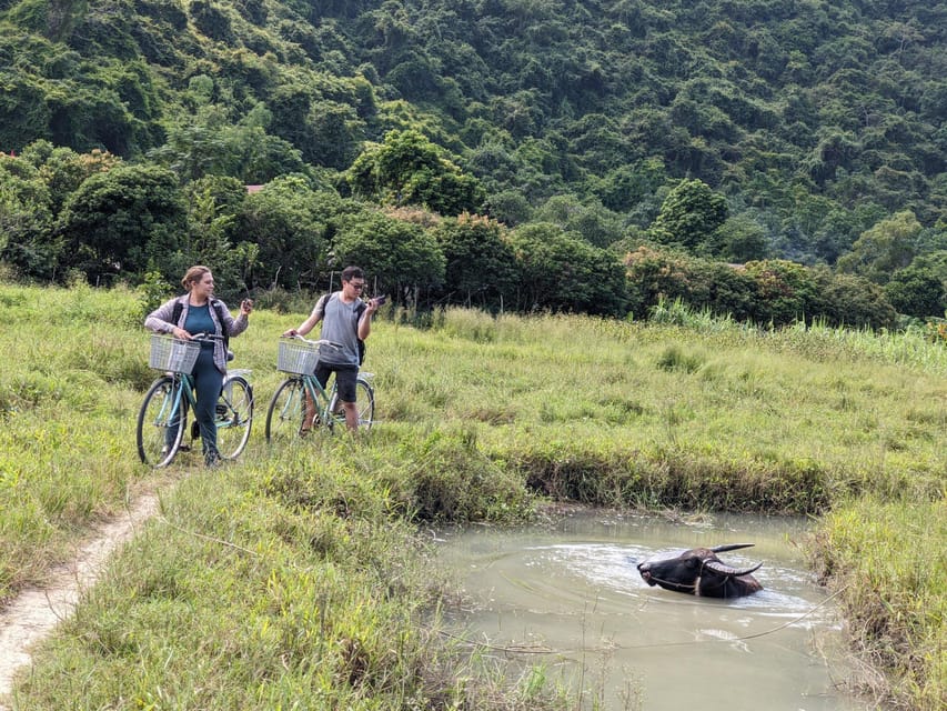 Cat Ba Trekking Tours National Park - Ancient Village - Important Considerations