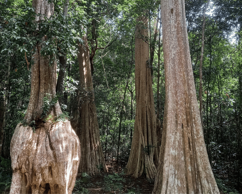 Cat Tien National Park With Crocodile Lake - Frequently Asked Questions