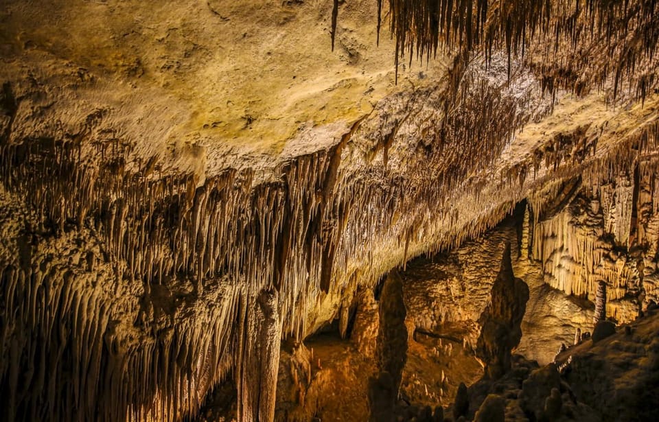 Caves of Drach: Entrance, Music Concert and Boat Trip - Musical Performance in the Caves