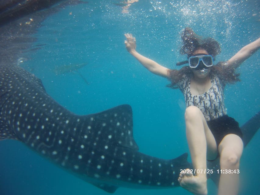 Cebu: Whaleshark Encounter, Tumalog Falls & Sumilon Sandbar - Customer Ratings and Feedback