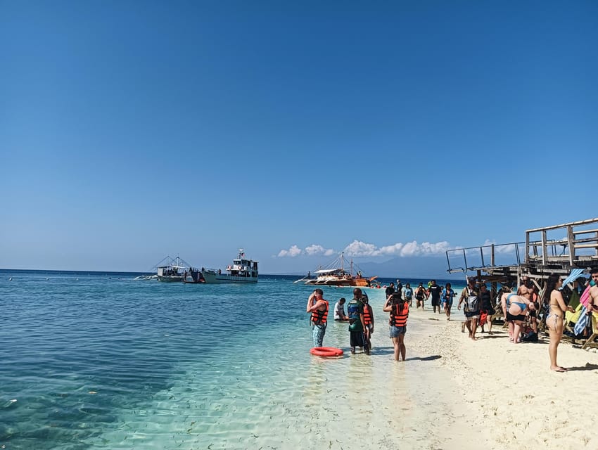 Cebu: Whaleshark Watching, Sumilon Island, and Moalboal… - Booking and Cancellation Policy